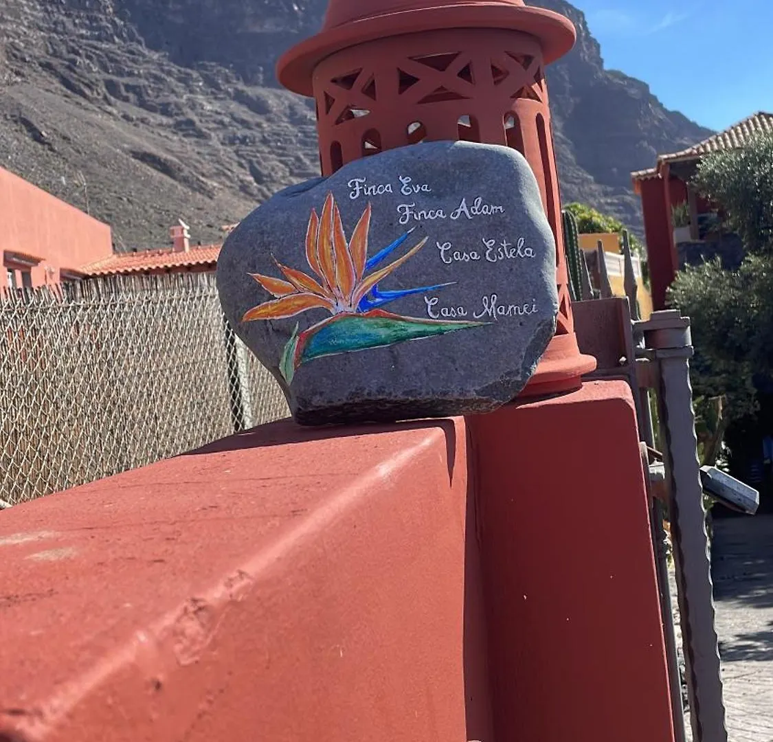 Apartment Finca Eva Adults Only Valle Gran Rey Spain